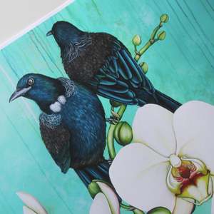 Anita Madhav: Pair Tui on Orchid