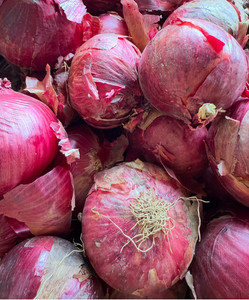 Red Onions Macas Green Fam