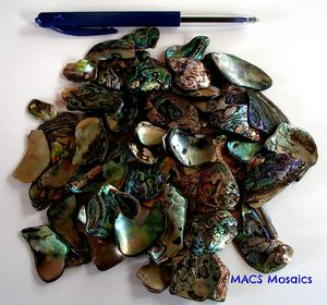 Products: Paua Small - MACS Mosaics