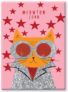 Niaski: Meowton John - Magnet