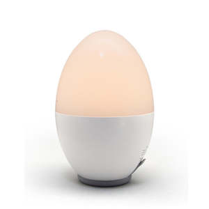 Stellar Haus: Rechargeable USB Night Light - EGG