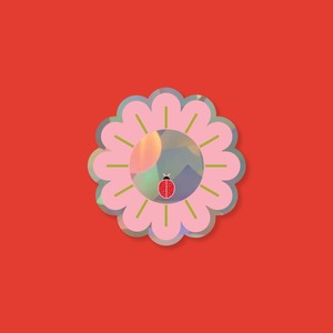 Window Suncatcher Decal - Ladybug Daisy
