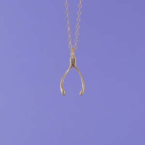 Products: Mini Charming Necklace - Golden Wishbone