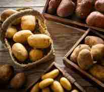 Page 2 of 21 - Mad Butcher