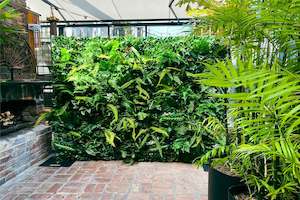 Green Walls: Tropical Wall