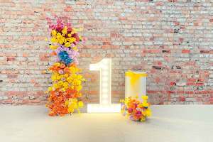 Packages: 1st Birthday Sunshine Package