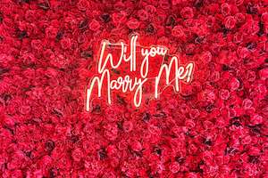 Neon Signs: "Will you marry me?" Neon Sign