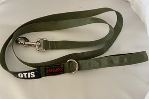 Personalised Dog Leads – Green