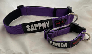 Products: Personalised Dog Leads – Purple
