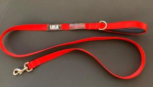 Personalised Dog Leads – Red