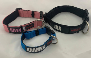 Products: Personalised Dog Collar in Light Blue