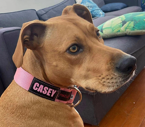 Products: Personalised Dog Collar in Pink