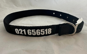 Products: Nylon Buckle Collar – Black