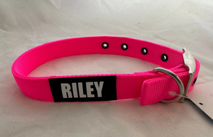 Nylon Buckle Collar – Hot Pink