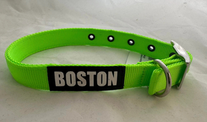 Products: Nylon Buckle Collar – Neon Green