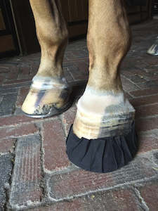 Christmas Gift Collection: EquiFit Pack-N-Stick Hoof Tape