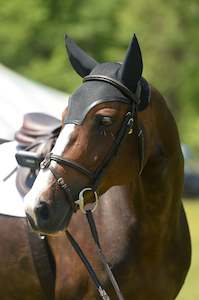 Christmas Gift Collection: EquiFit SilentFit Ear Bonnet