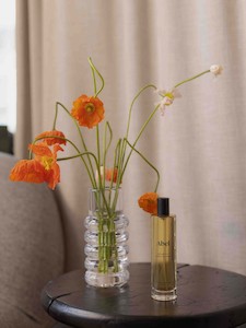 Abel Odor: Room Spray – Scene 03 ⋅ leather, tonka, vanilla