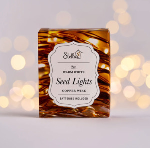 Home Living: 2m Copper Warm White 20 LED Seed Lights