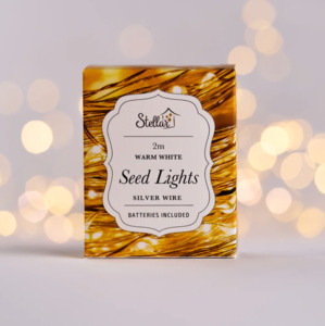 Home Living: 2m Silver Warm White 20 LED Seed Lights String