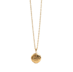 Jewellery: A&C Pure Steel Necklace Gold Flower Locket