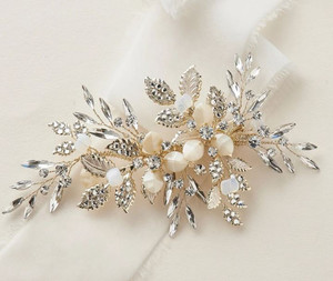 Products: Skylar Clip My Site