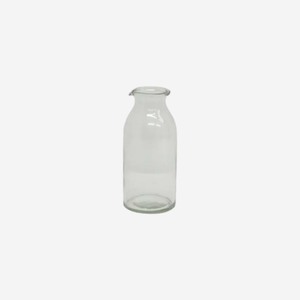 Clear Bottle Vase
