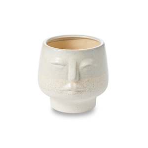 Planters Artificial Plants: Airlie Small Face Planter