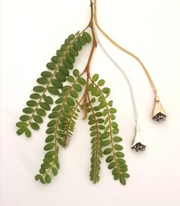 Products: Sterling Silver Kowhai Blossom Pendant Native NZ Jewellery - Maggie Adams Jewellery - Hand Made Gold & Silver Jewellery