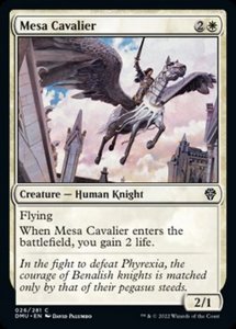 In Stock Foils: Mesa Cavalier [Dominaria United]