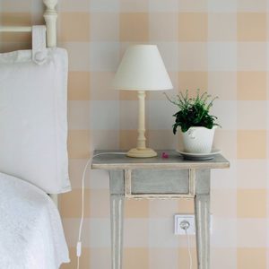 Contemporary Patterns: Check Pattern Peach
