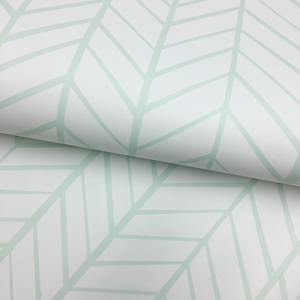 Contemporary Patterns: Zig Zag Stripe Mint