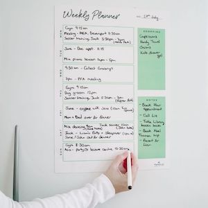 Pastel Collection Portrait