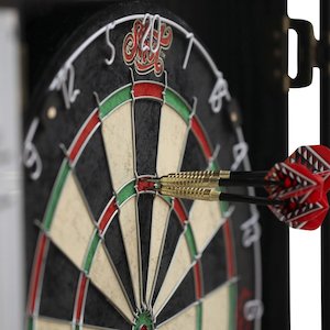 Renegade Dartboard & Cabinet set