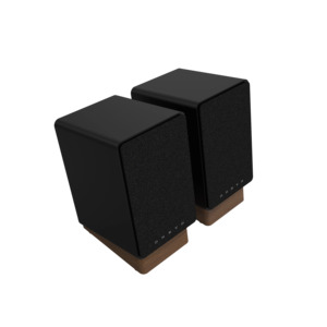 Onkyo: ONKYO GX-30ARC Compact Powered Bookshelf Speakers.