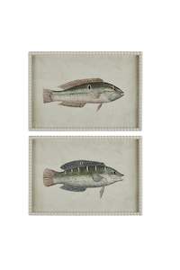 Art Prints: Piscis Reef Fish Prints in White Bobble Frames - Set of Two