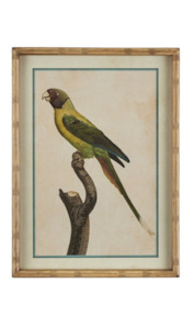 Parakeet Print in Carved 'Bamboo' Wooden Frame - Yellow Parrot