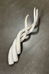 Homeware And Gifts: XL Long Kudu Polished Horn
