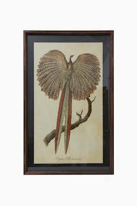 Homeware And Gifts: Pheasant Wall Art