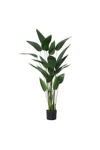 Botanical Garden: Sky Bird Plant