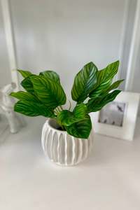Classic Stripe Small Garden Pot