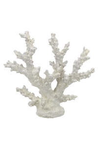 Homewares: Chelsea Coral on Base