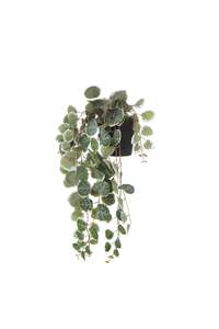 Silver Trail String of Hearts