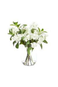 Homewares: Snowdrop Lilac Vase Arrangement