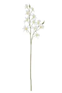 Homewares: Snowfall Dendrobium Stem