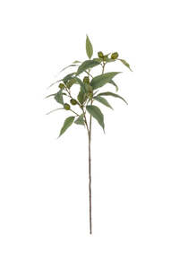 Homewares: Artificial Eucalyptus Spray - Green