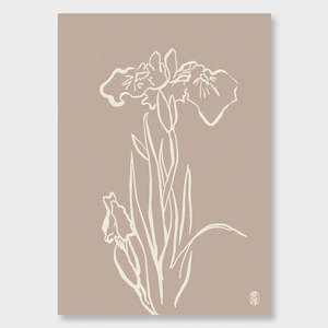 Kinu Collection: Ayame