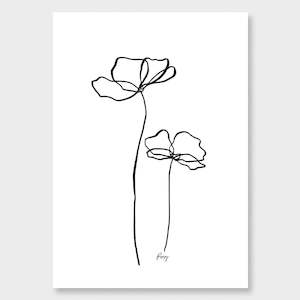 Faves Collection: Poppy