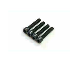 Alpha: Cooling Head Screw (4pcs)
