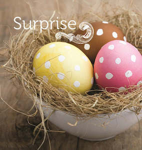 collection--books: Surprise booklet